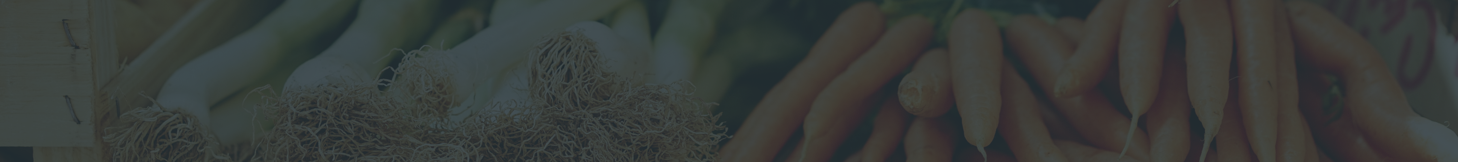 div#section-6:before